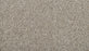 Restorative II Triexta Reflections 948 Carpet Textured 1