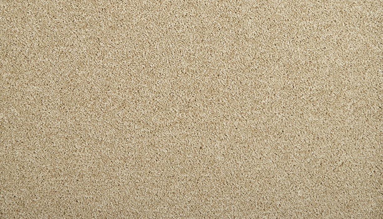 Zenith Polyester Sandy Dunes 728 Carpet Textured 1