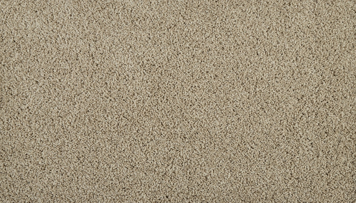 Classic Fit I Polyester Island Taupe 817 Carpet Textured 1
