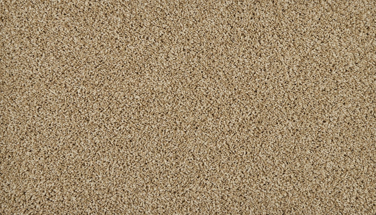 Classic Fit I Polyester Warm Almond 725 Carpet Textured 1