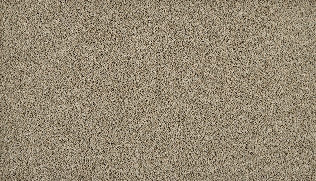 Classic Fit I Polyester Twilight 829 Carpet Textured 1
