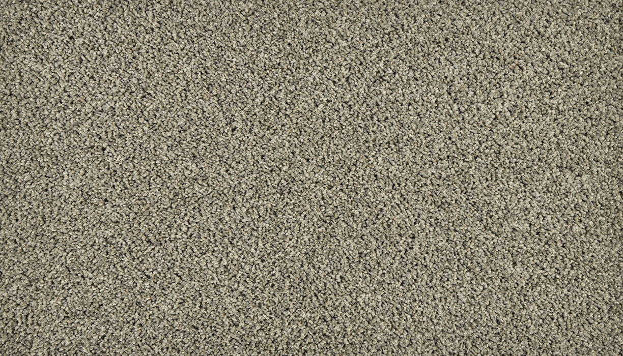 Classic Fit I Polyester Shipwreck 974 Carpet Textured 1