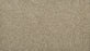 Classic Fit II Polyester Island Taupe 817 Carpet Textured 1