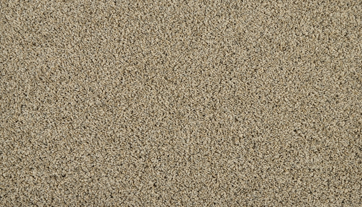 Classic Fit II Polyester Greige 755 Carpet Textured 1