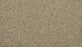 Classic Fit II Polyester Greige 755 Carpet Textured 1