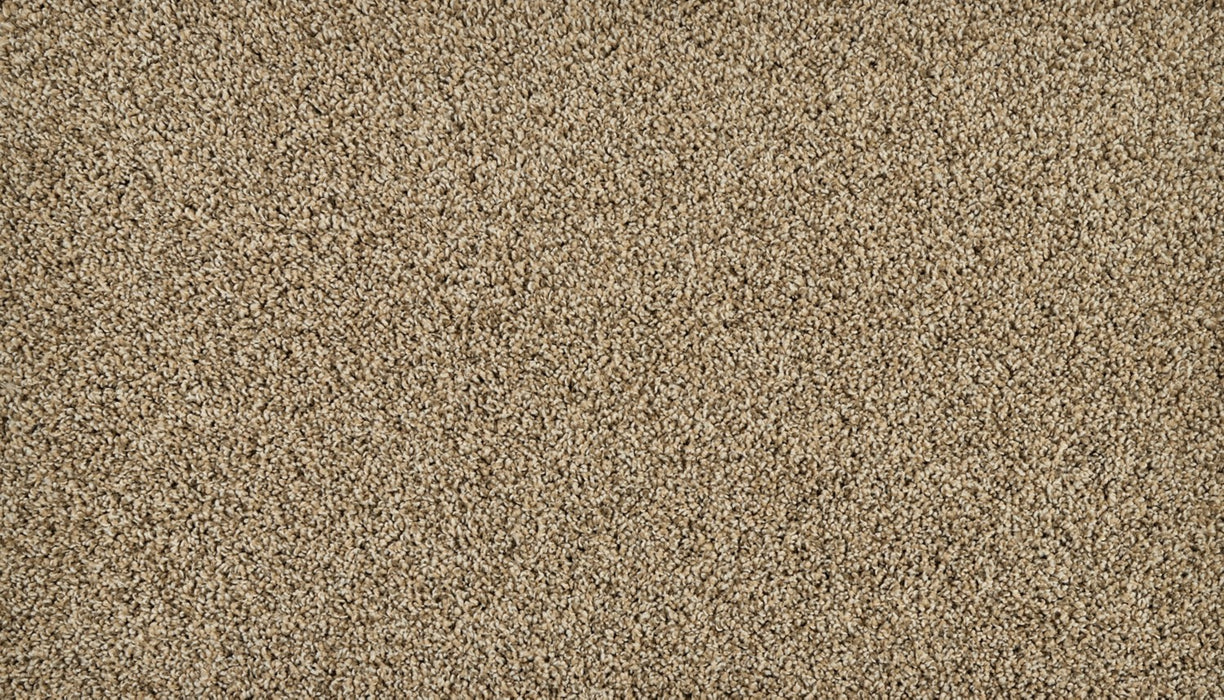 Classic Fit II Polyester Flax Seed 789 Carpet Textured 1