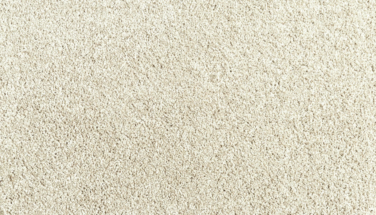 Assorted Elements I Polyester Taupe Shadow 817 Carpet Textured 1