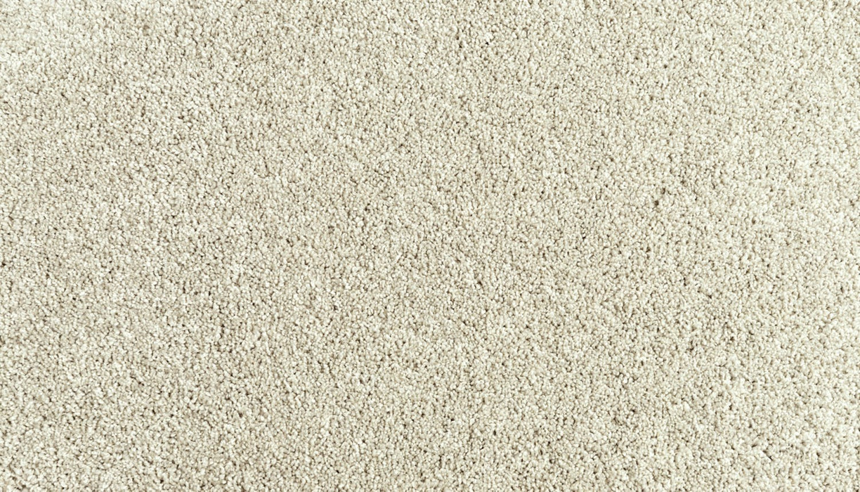 Assorted Elements I Polyester London Fog 917 Carpet Textured 1