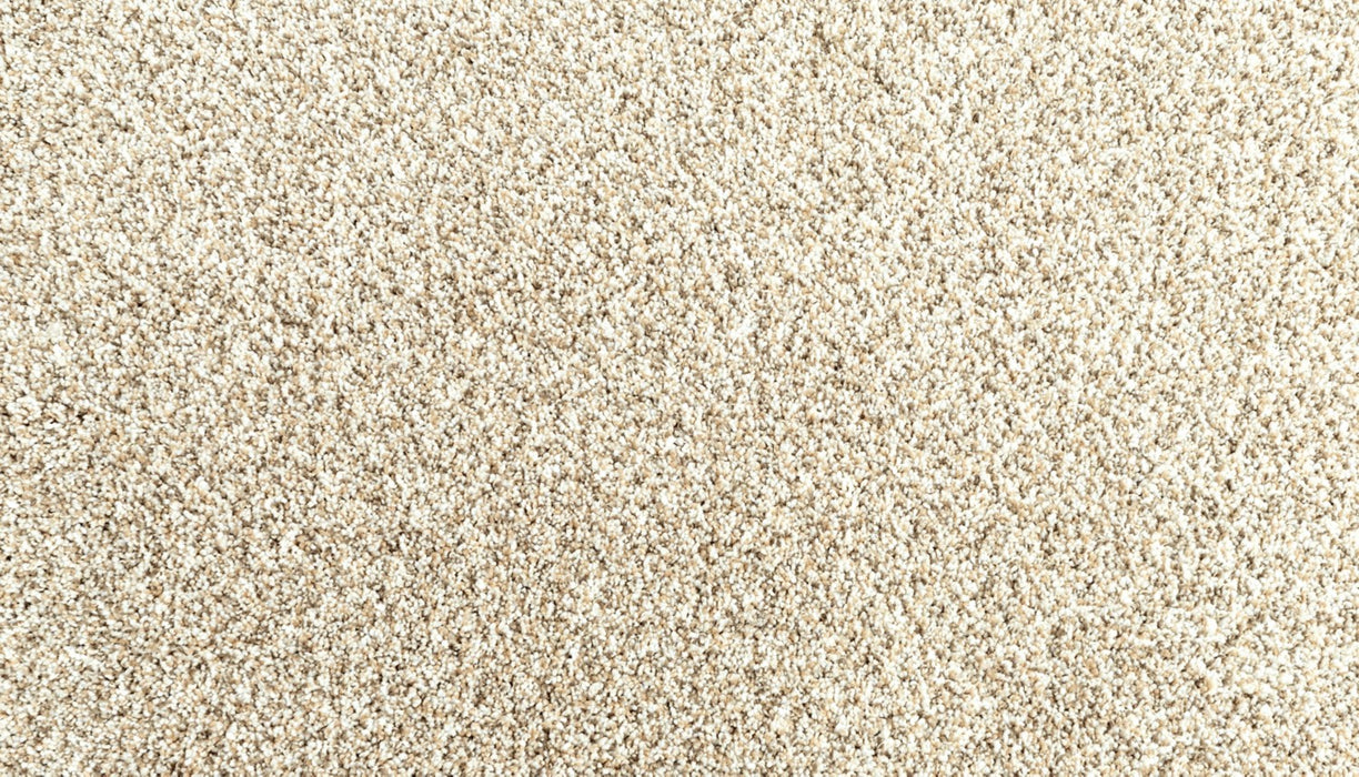 Assorted Elements I Polyester Sanderling 717 Carpet Textured 1