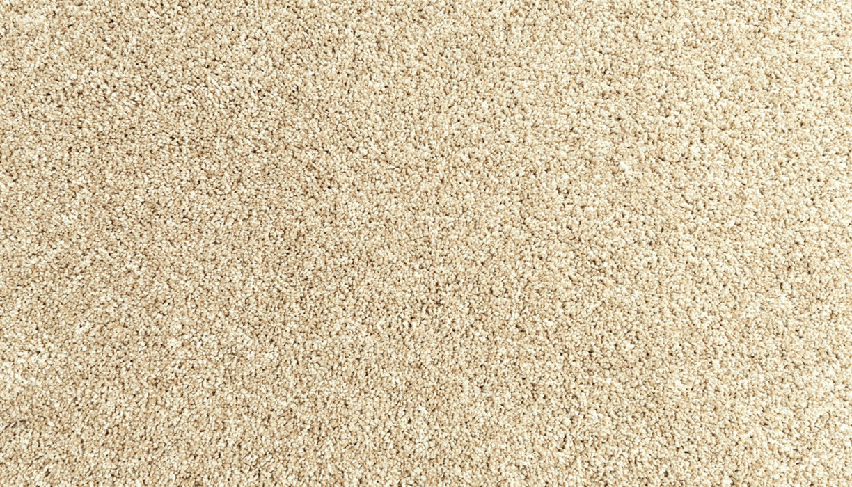 Assorted Elements I Polyester Coastal Sands 725 Carpet Textured 1