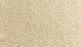 Assorted Elements I Polyester Coastal Sands 725 Carpet Textured 1