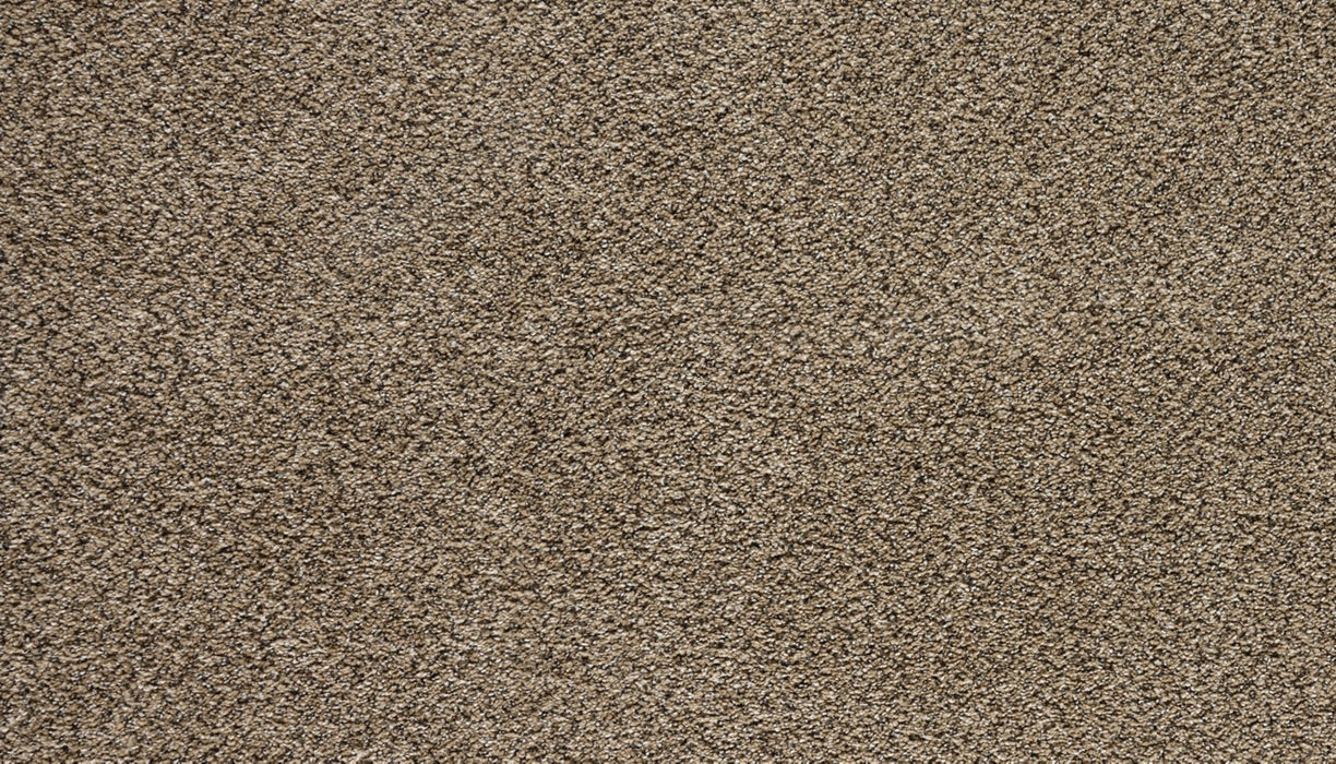 Assorted Elements I Polyester Fowler 857 Carpet Textured 1
