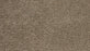Assorted Elements I Polyester Fowler 857 Carpet Textured 1