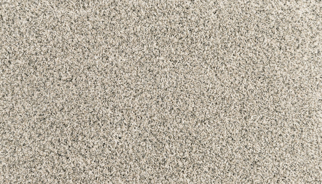 Assorted Elements I Polyester Silver Dollar 938 Carpet Textured 1