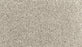 Assorted Elements I Polyester Silver Dollar 938 Carpet Textured 1
