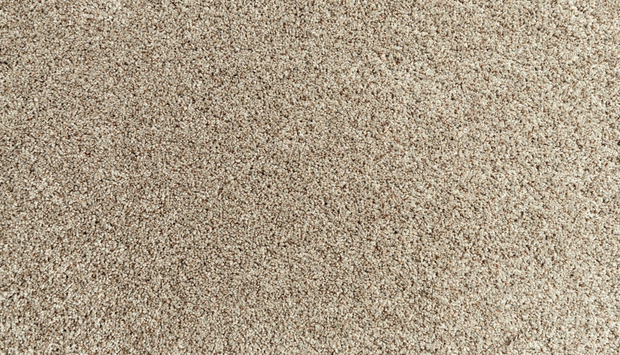 Assorted Elements I Polyester Dock 829 Carpet Textured 1