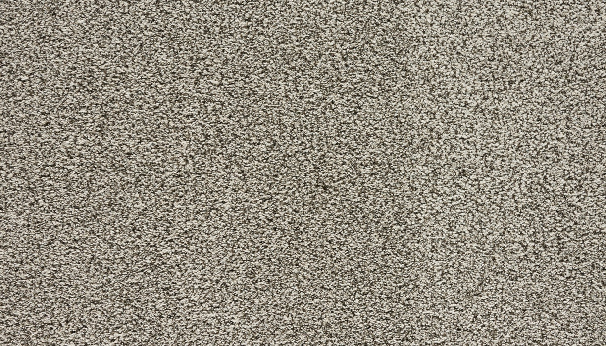 Assorted Elements II Polyester Quiet Light 718 Carpet Textured 1