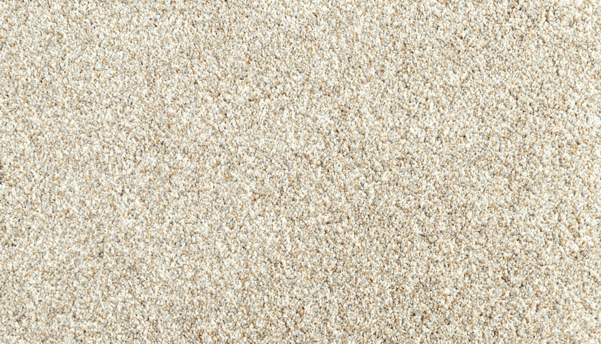Assorted Elements II Polyester Stoney Path 912 Carpet Textured 1