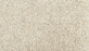 Assorted Elements II Polyester Stoney Path 912 Carpet Textured 1