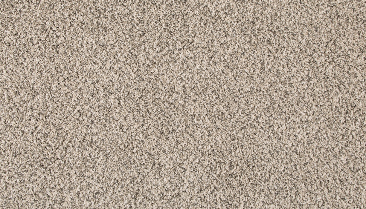 Assorted Elements II Polyester Silver Dollar 938 Carpet Textured 1