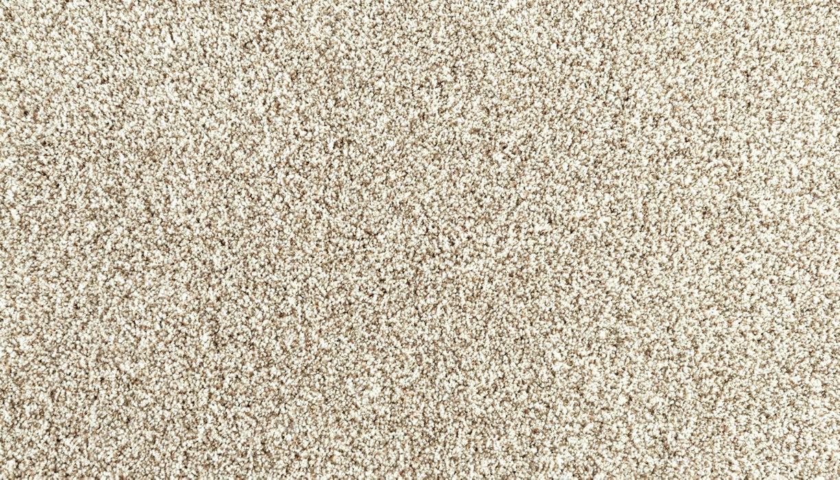 Assorted Elements II Polyester Elk Beige 729 Carpet Textured 1