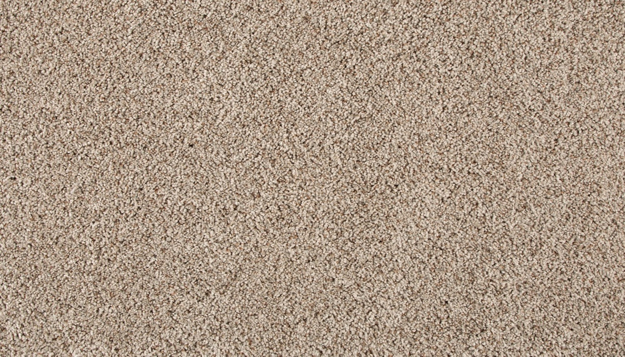 Assorted Elements II Polyester Dock 829 Carpet Textured 1