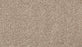Assorted Elements II Polyester Dock 829 Carpet Textured 1