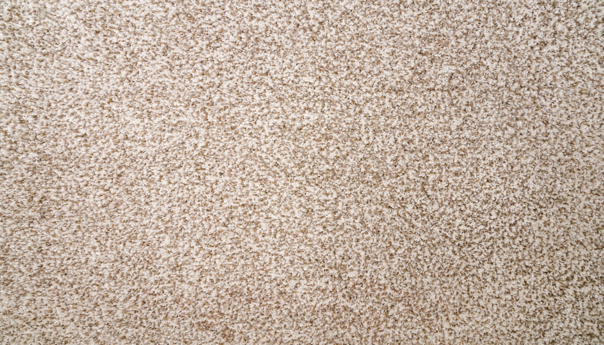 Natural Selection I Triexta River Birch 724 Carpet Textured 1