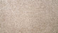 Natural Selection I Triexta River Birch 724 Carpet Textured 1