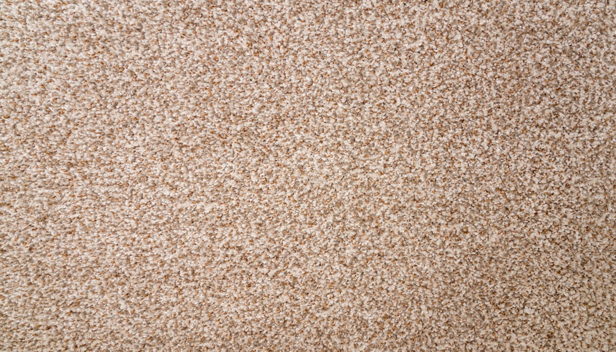 Natural Selection I Triexta Atrium 732 Carpet Textured 1