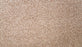 Natural Selection I Triexta Atrium 732 Carpet Textured 1