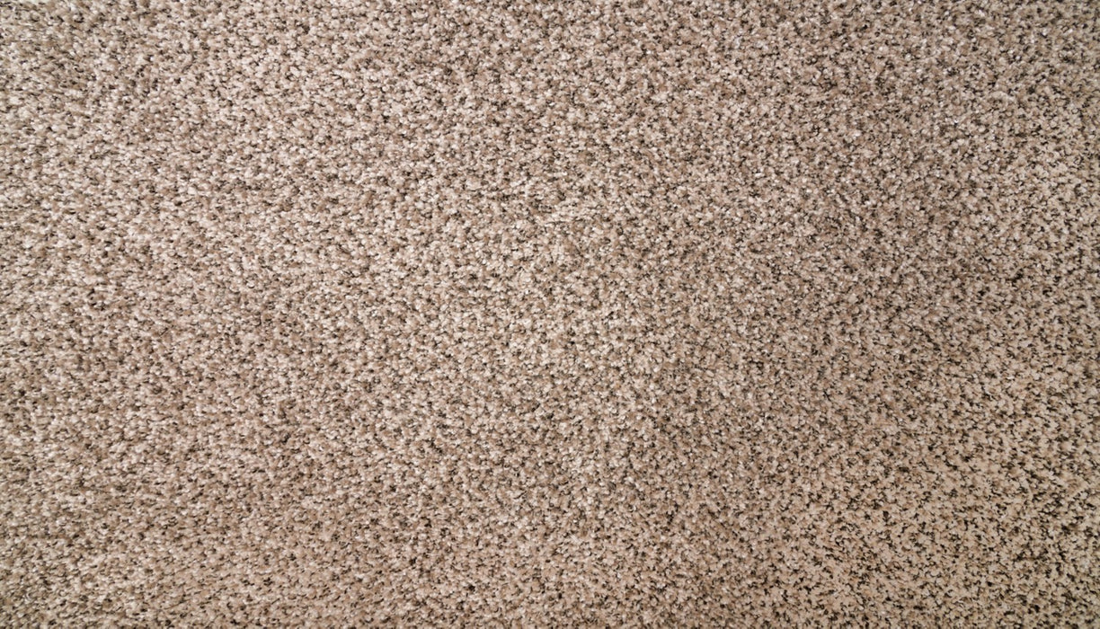 Natural Selection I Triexta Hearthstone 776 Carpet Textured 1