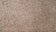 Natural Selection I Triexta Hearthstone 776 Carpet Textured 1