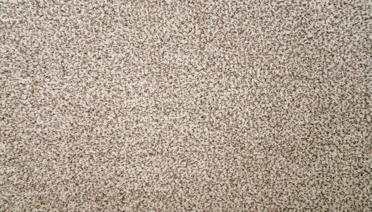 Natural Selection II Triexta Almond Wash 726 Carpet Textured 1