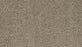 Natural Selection II Triexta Hearthstone 776 Carpet Textured 1