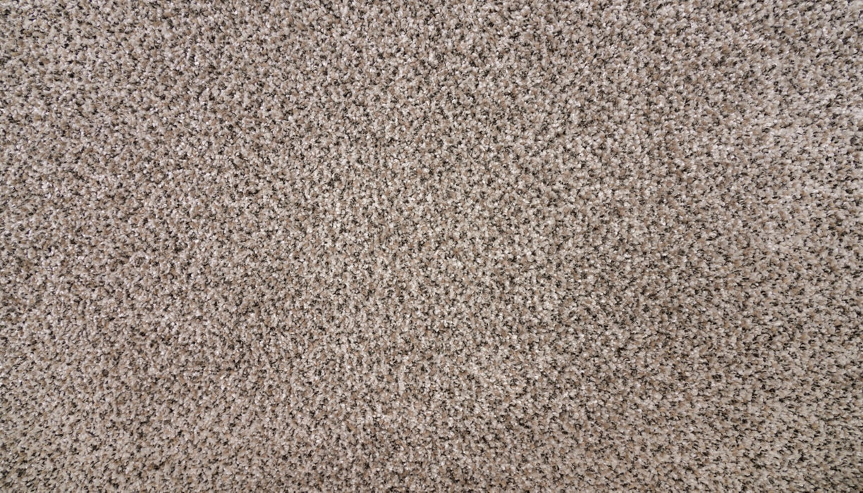 Natural Selection II Triexta Rocky Coast 931 Carpet Textured 1