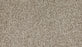 Marciano Polyester Elk Beige 729 Carpet Textured 1
