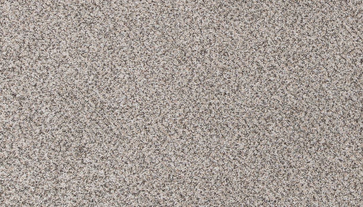Canine Comfort Polyester Highway 957 Carpet Textured 1