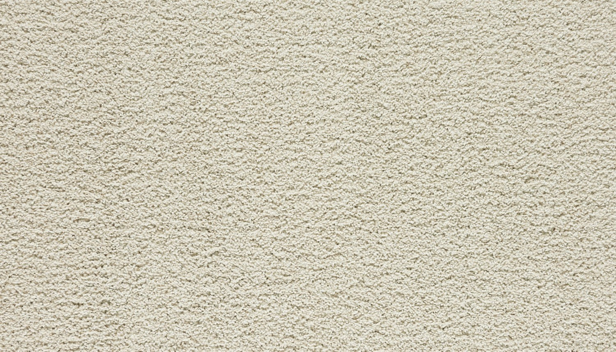 Paw Pathway Polyester Linen 717 Carpet Textured 1