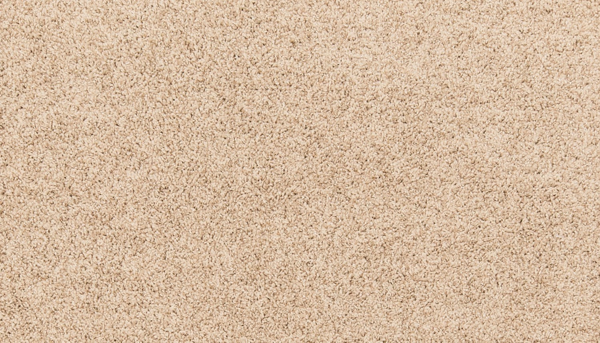 Paw Pathway Polyester Windsome 732 Carpet Textured 1