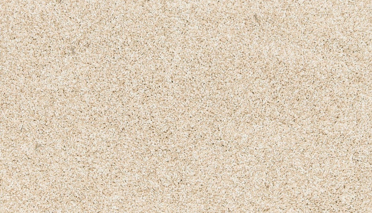 Paw Pathway Polyester Sugar Cone 736 Carpet Textured 1