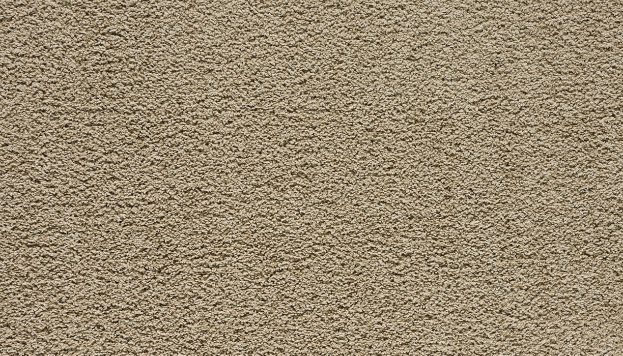 Paw Pathway Polyester Midsummer Light 751 Carpet Textured 1