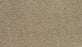 Paw Pathway Polyester Midsummer Light 751 Carpet Textured 1
