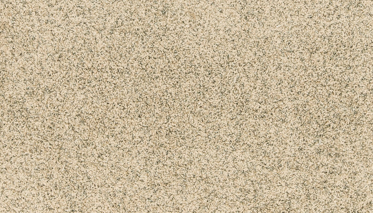 Paw Pathway Polyester Poppy Seed 849 Carpet Textured 1