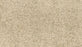 Paw Pathway Polyester Poppy Seed 849 Carpet Textured 1