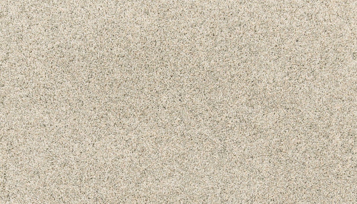 Paw Pathway Polyester Ice Pick 907 Carpet Textured 1