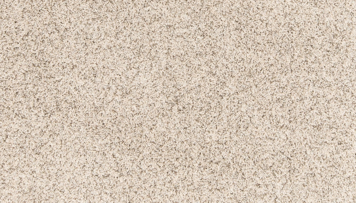 Paw Pathway Polyester Snow Path 937 Carpet Textured 1