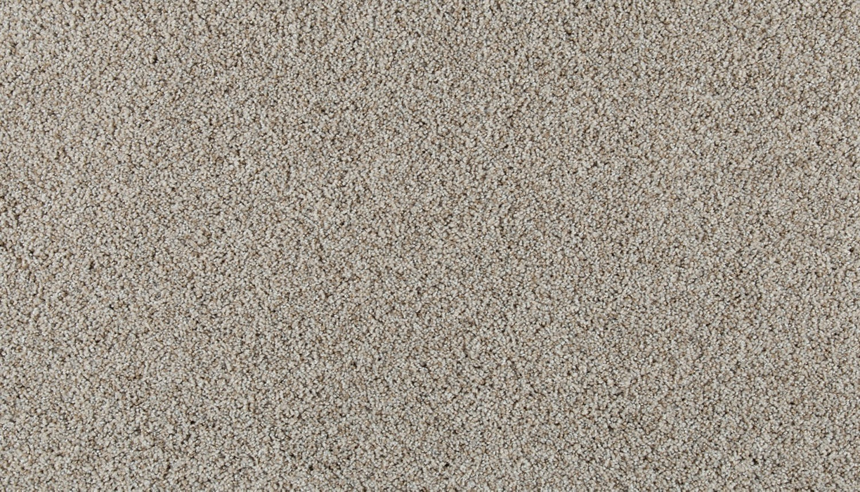 Olympus I Polyester Breeze 719 Carpet Textured 1