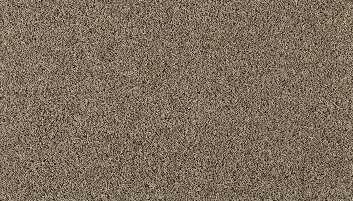 Olympus I Polyester Bone 728 Carpet Textured 1