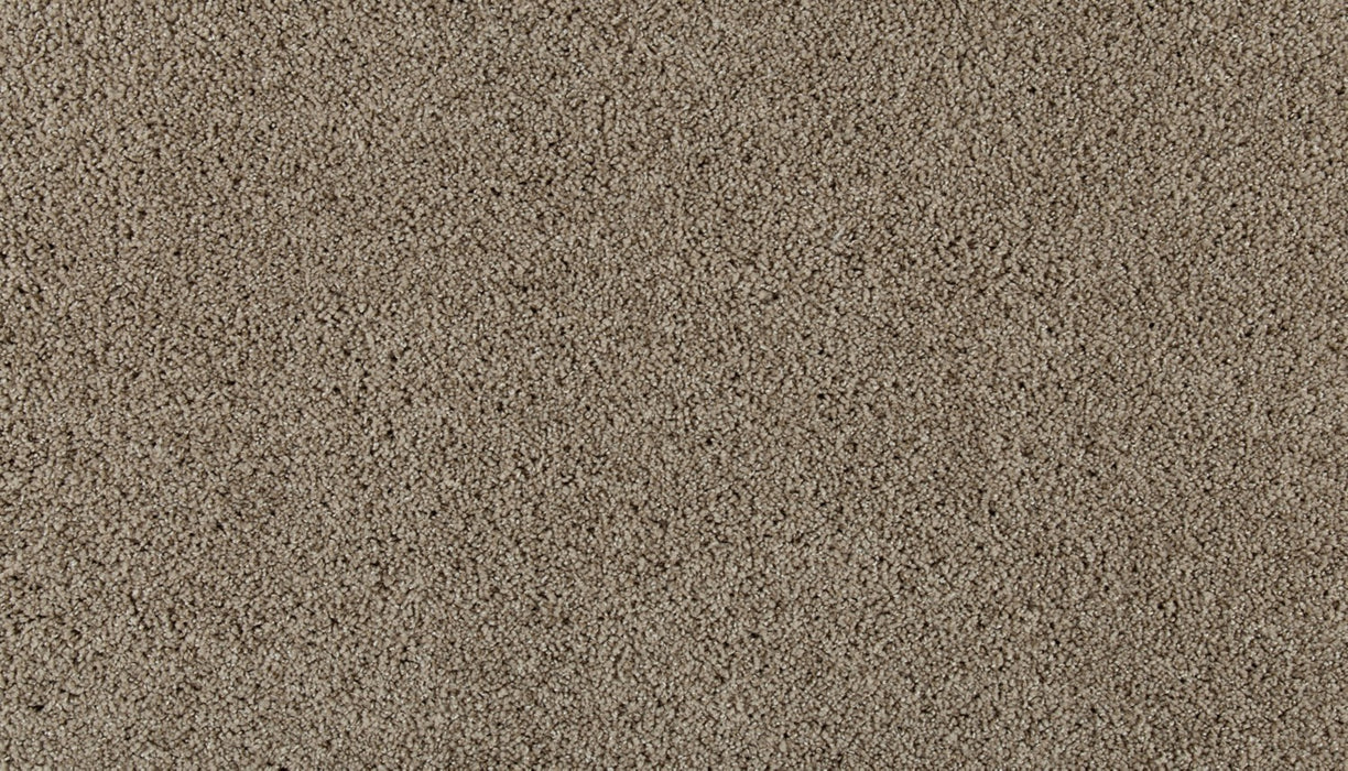 Olympus I Polyester Windsome 732 Carpet Textured 1